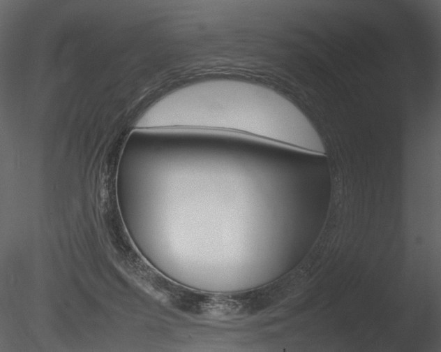 X0000085730215200703160845