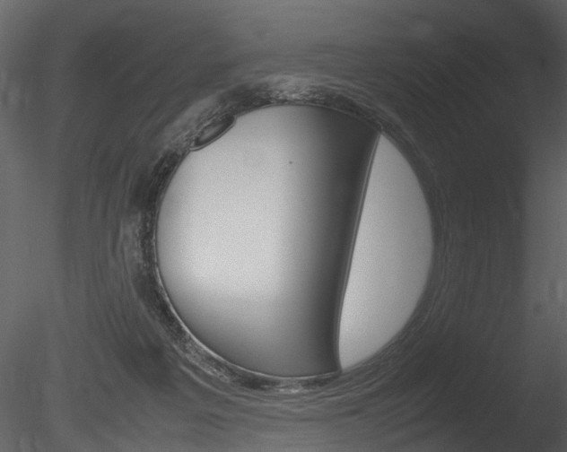 X0000085730217200703160845