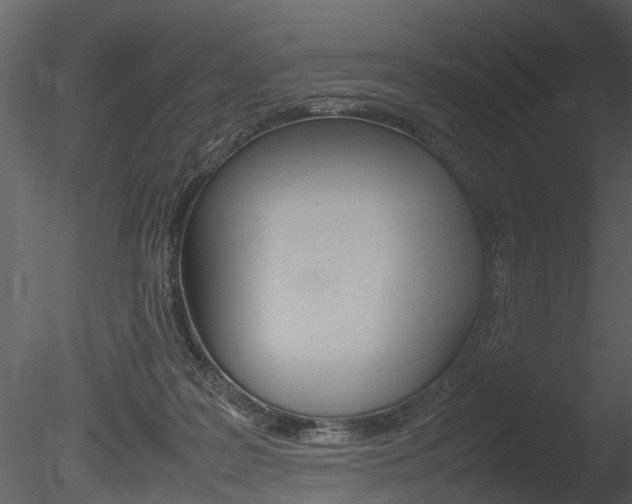 X0000085730219200703160845