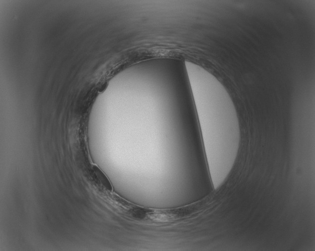 X0000085730221200703160845