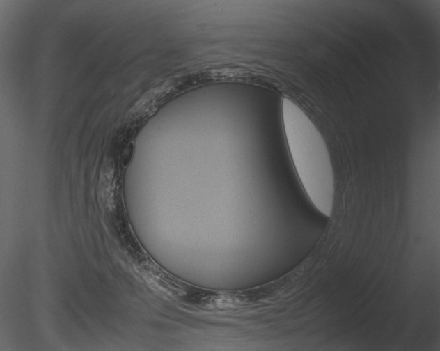 X0000085730223200703160845