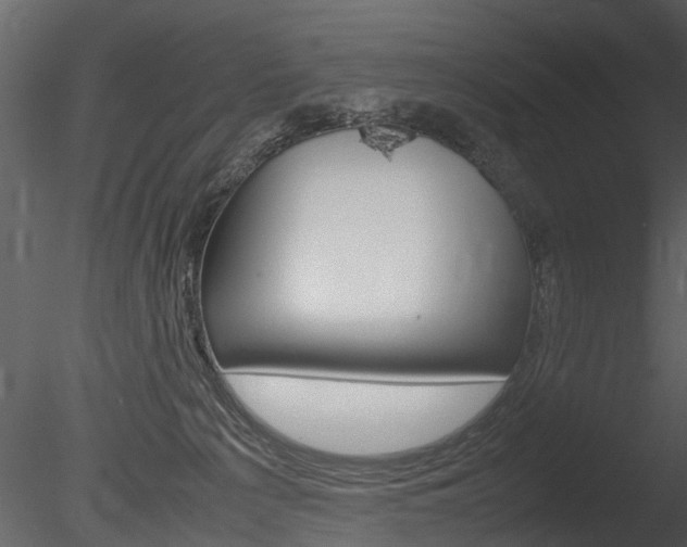X0000085730225200703160845