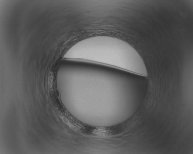 X0000085730231200703160845