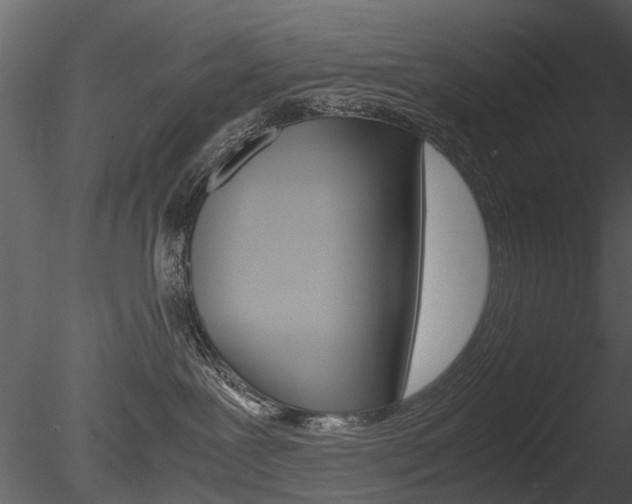 X0000085730239200703160845
