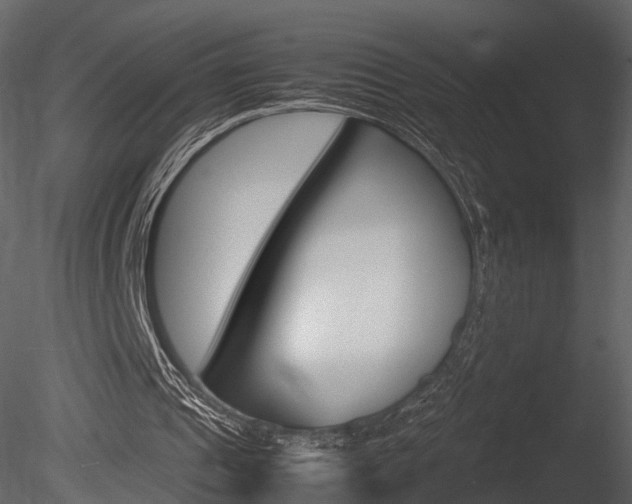 X0000085730241200703160844