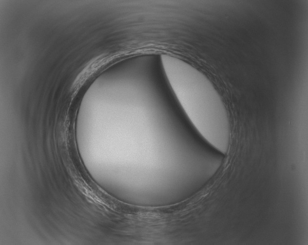 X0000085730242200703160844