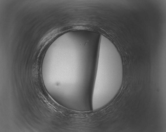 X0000085730243200703160844