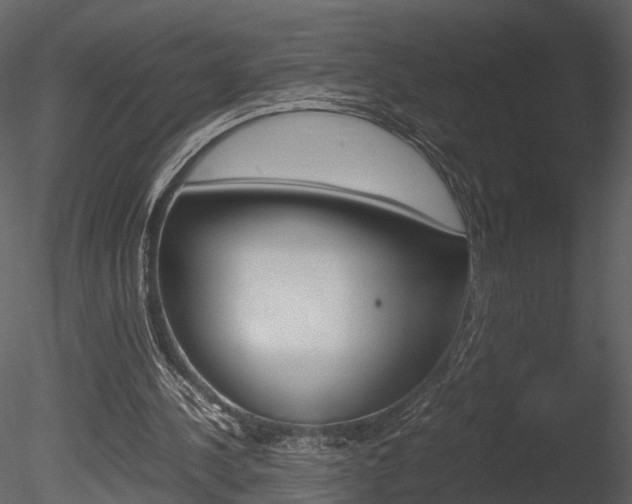 X0000085730244200703160844