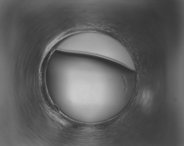 X0000085730246200703160844