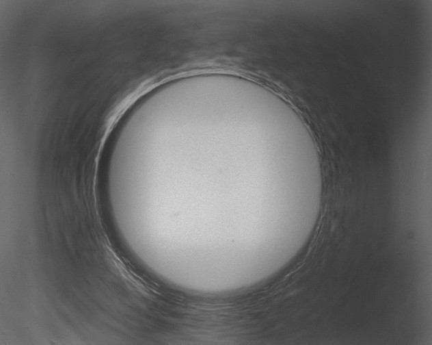 X0000085730248200703160844