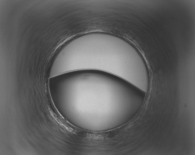 X0000085730249200703160844