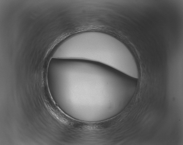 X0000085730250200703160844