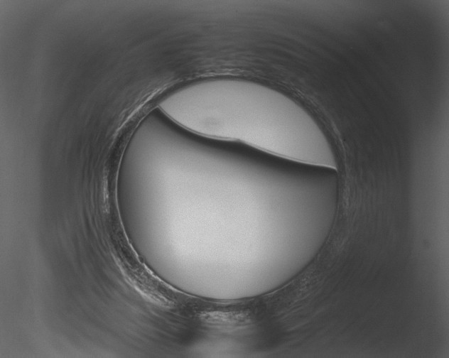 X0000085730251200703160844
