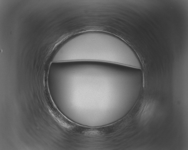 X0000085730253200703160844