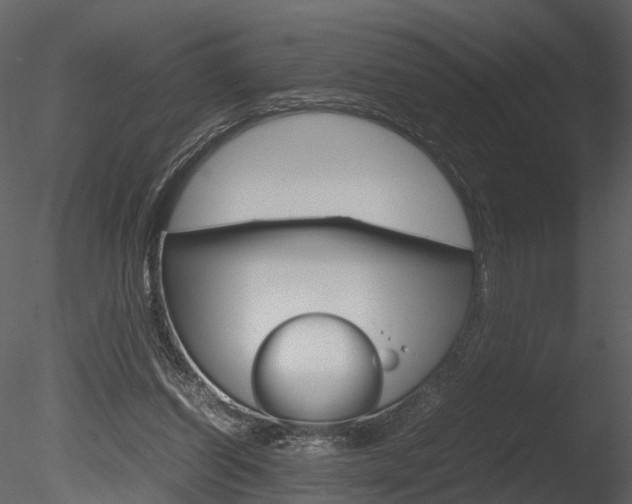 X0000085730254200703160844