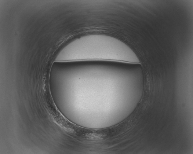 X0000085730255200703160844