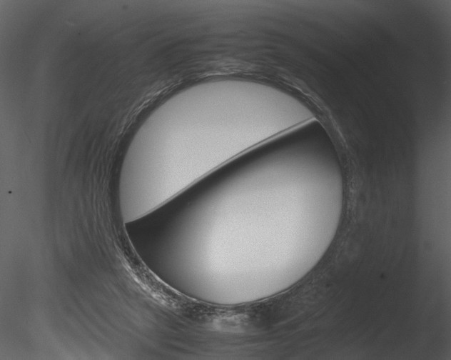X0000085730257200703160844