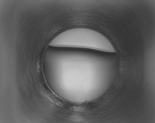 X0000085730259200703160844