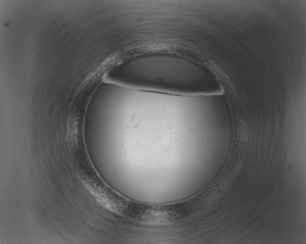 X0000085730260200703160844