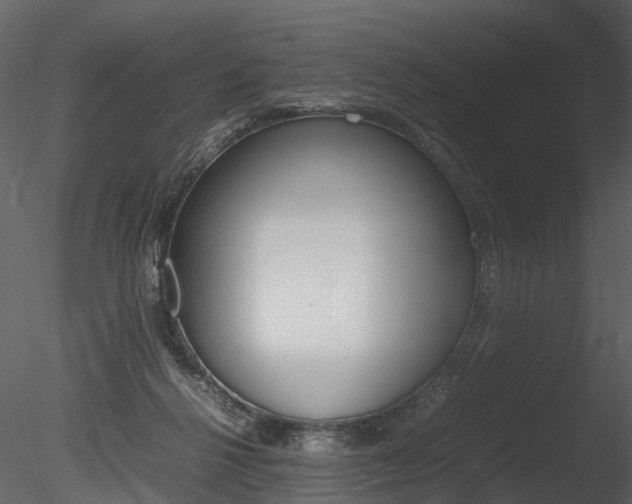 X0000085730264200703160844