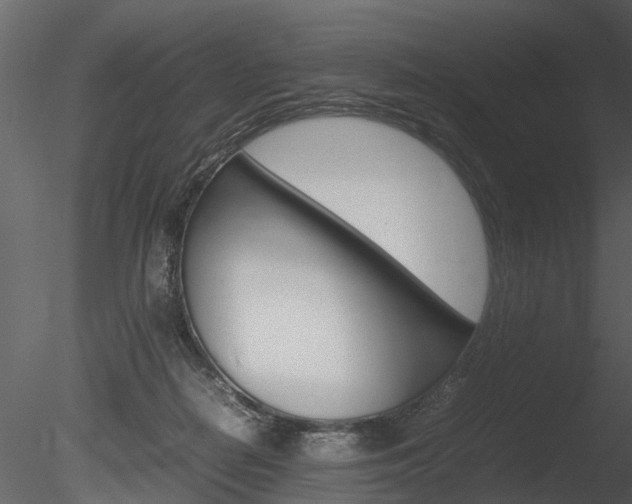 X0000085730266200703160844