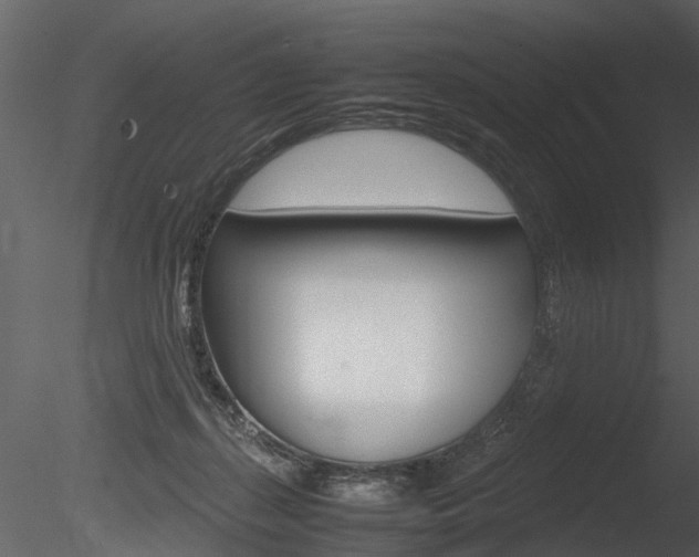 X0000085730267200703160844