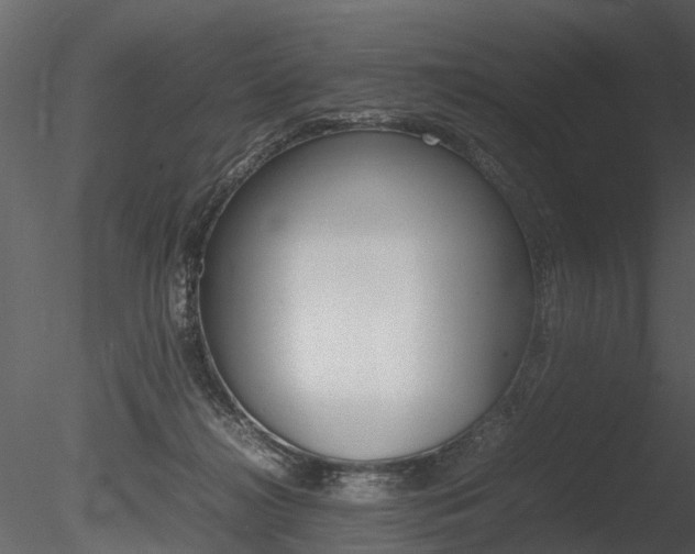 X0000085730268200703160844