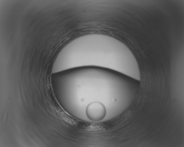 X0000085730270200703160844