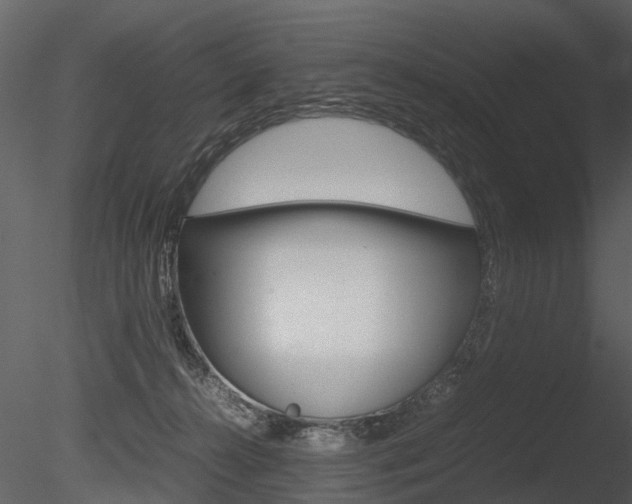 X0000085730272200703160844