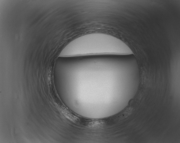 X0000085730274200703160844