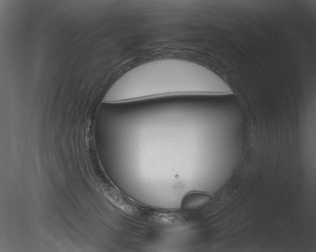 X0000085730275200703160844