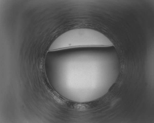 X0000085730277200703160844