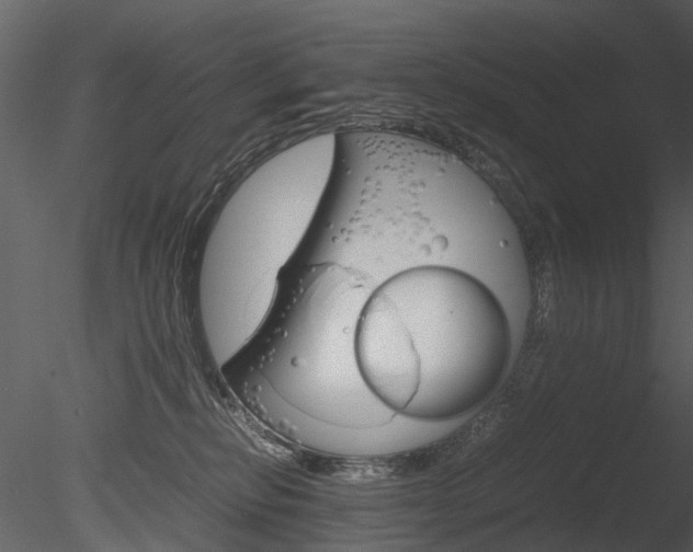 X0000085730278200703160844