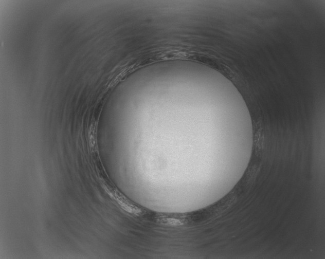 X0000085730285200703160845