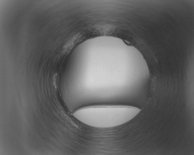 X0000085730286200703160845