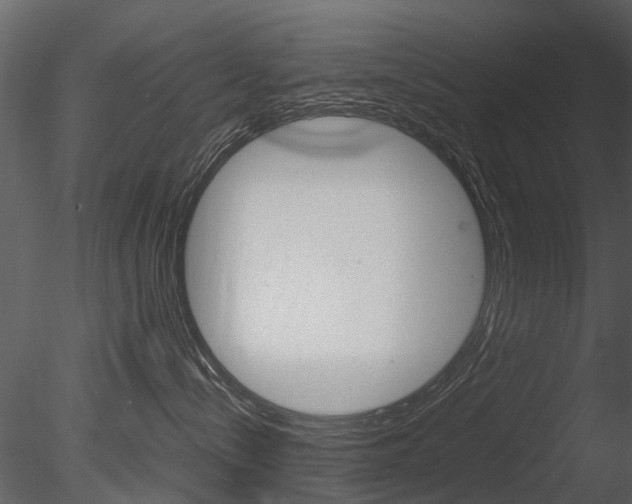X0000085730288200703160845