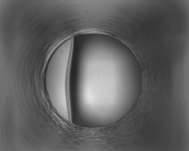X0000085730289200703160844