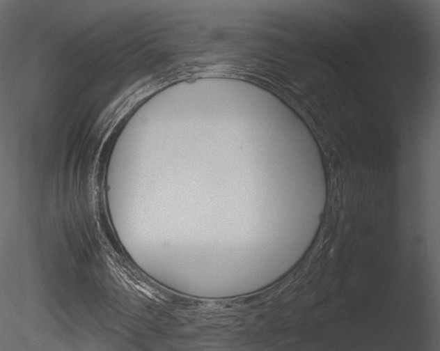 X0000085730290200703160844