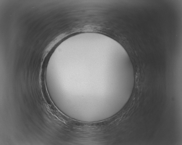 X0000085730292200703160844