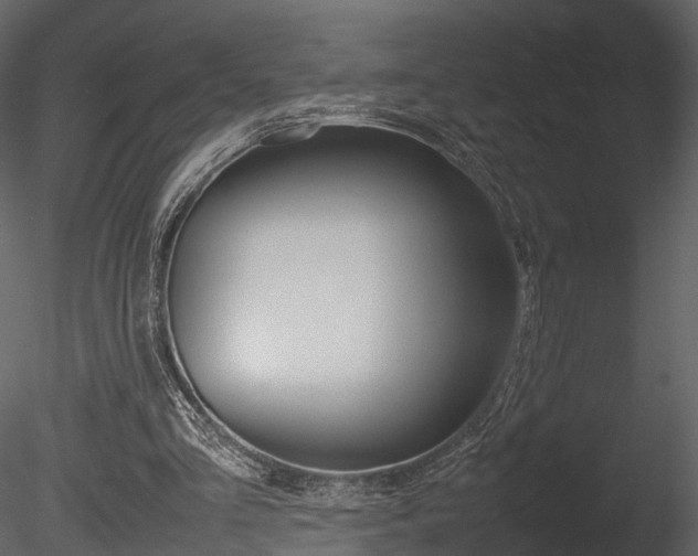 X0000085730293200703160844