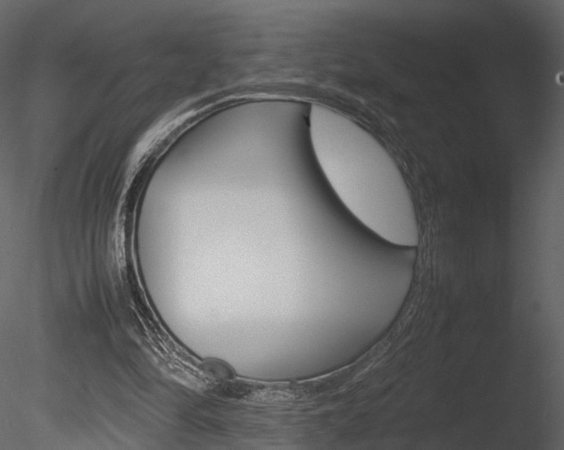 X0000085730294200703160844