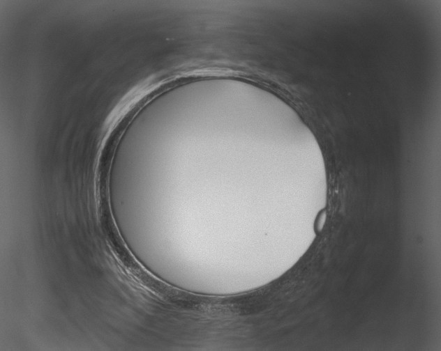 X0000085730296200703160844