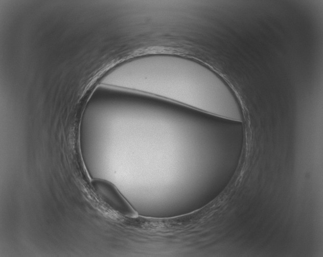 X0000085730297200703160844