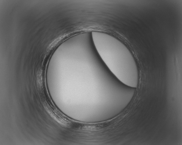 X0000085730298200703160844