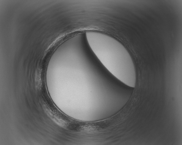 X0000085730300200703160844