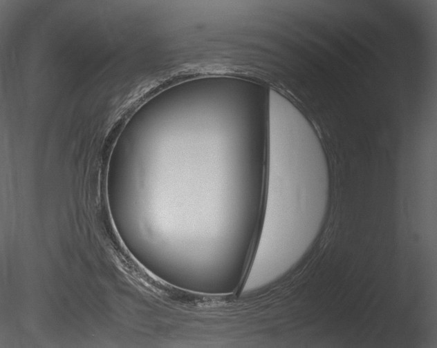 X0000085730301200703160844