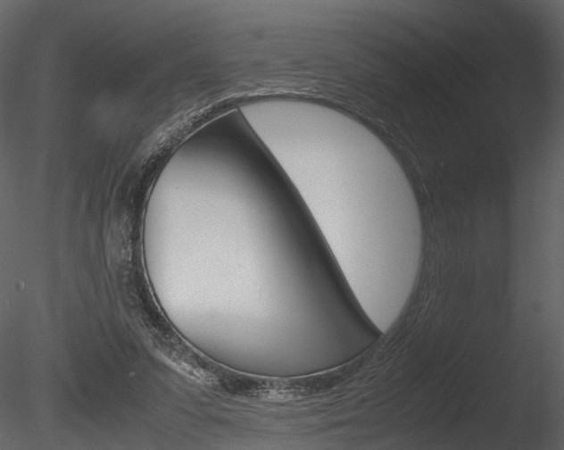 X0000085730303200703160844