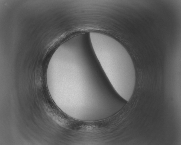 X0000085730304200703160844
