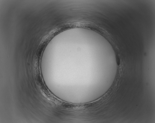 X0000085730306200703160844