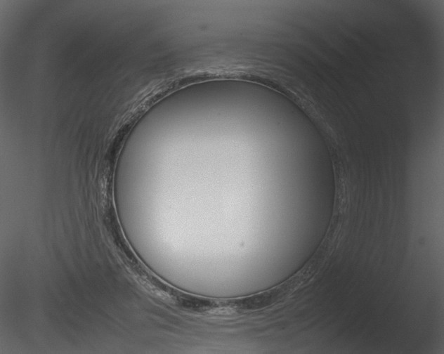 X0000085730309200703160843